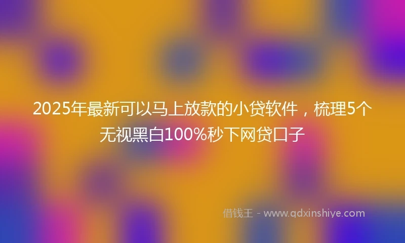 2025年最新可以马上放款的小贷软件，梳理5个无视黑白100%秒下网贷口子