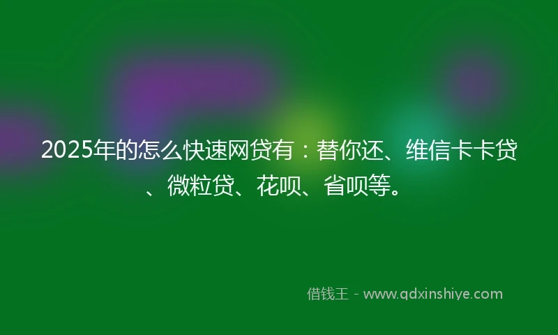 2025年的怎么快速网贷有：替你还、维信卡卡贷、微粒贷、花呗、省呗等。