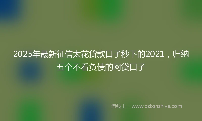 2025年最新征信太花贷款口子秒下的2021，归纳五个不看负债的网贷口子