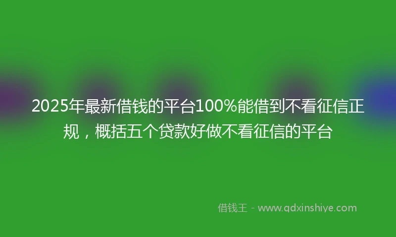 2025年最新借钱的平台100%能借到不看征信正规，概括五个贷款好做不看征信的平台
