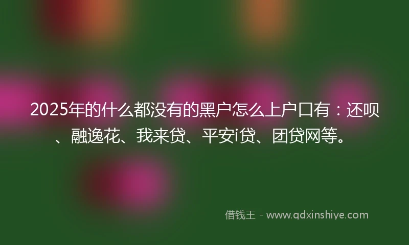 2025年的什么都没有的黑户怎么上户口有：还呗、融逸花、我来贷、平安i贷、团贷网等。