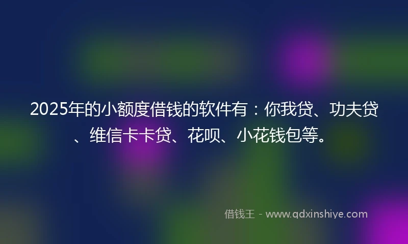 2025年的小额度借钱的软件有：你我贷、功夫贷、维信卡卡贷、花呗、小花钱包等。