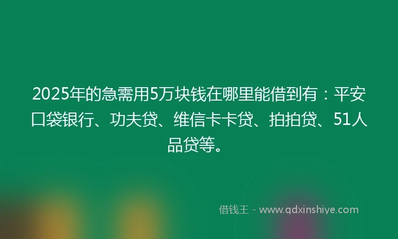 2025年的急需用5万块钱在哪里能借到有：平安口袋银行、功夫贷、维信卡卡贷、拍拍贷、51人品贷等。