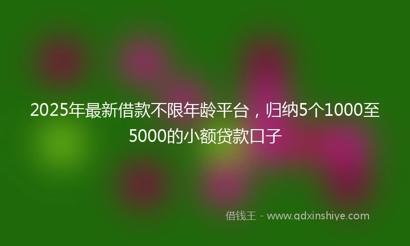 2025年最新借款不限年龄平台，归纳5个1000至5000的小额贷款口子