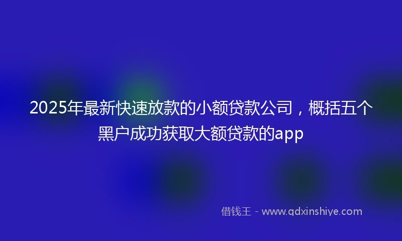 2025年最新快速放款的小额贷款公司，概括五个黑户成功获取大额贷款的app