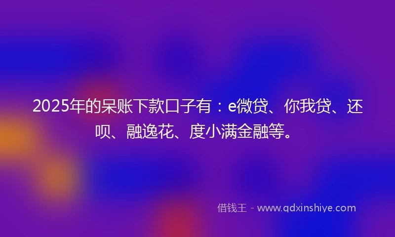 2025年的呆账下款口子有：e微贷、你我贷、还呗、融逸花、度小满金融等。