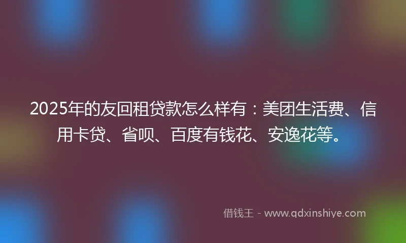 2025年的友回租贷款怎么样有：美团生活费、信用卡贷、省呗、百度有钱花、安逸花等。