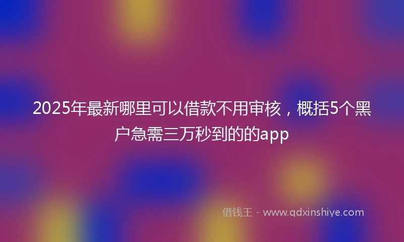 2025年最新哪里可以借款不用审核，概括5个黑户急需三万秒到的的app