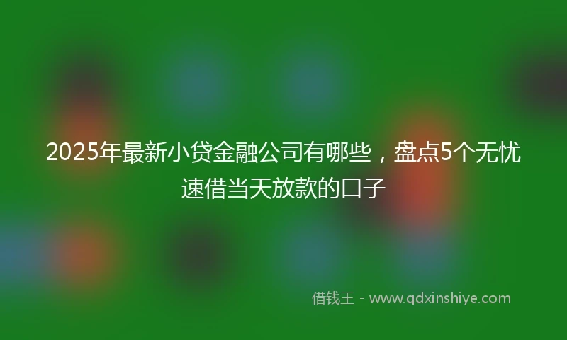2025年最新小贷金融公司有哪些，盘点5个无忧速借当天放款的口子