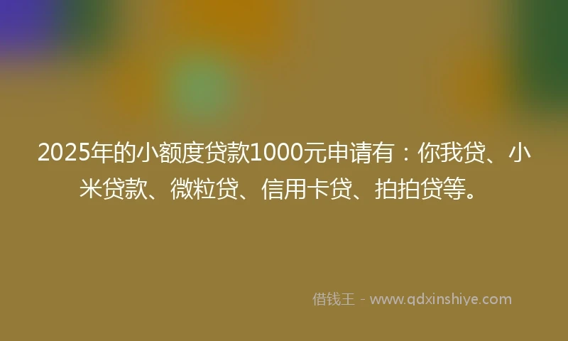 2025年的小额度贷款1000元申请有：你我贷、小米贷款、微粒贷、信用卡贷、拍拍贷等。
