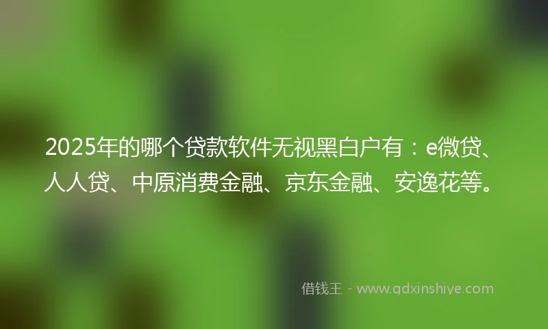 2025年的哪个贷款软件无视黑白户有：e微贷、人人贷、中原消费金融、京东金融、安逸花等。