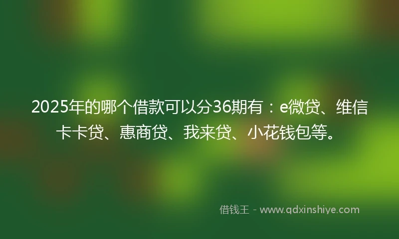 2025年的哪个借款可以分36期有：e微贷、维信卡卡贷、惠商贷、我来贷、小花钱包等。