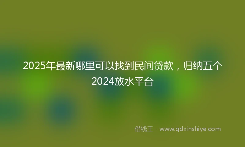 2025年最新哪里可以找到民间贷款，归纳五个2024放水平台