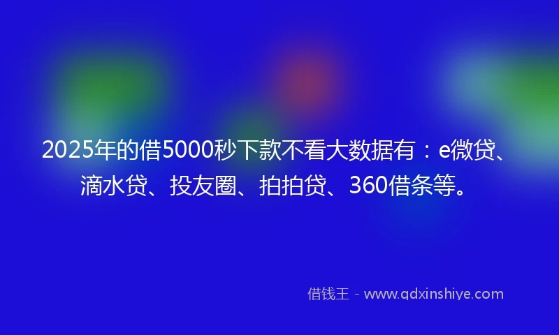 2025年的借5000秒下款不看大数据有：e微贷、滴水贷、投友圈、拍拍贷、360借条等。