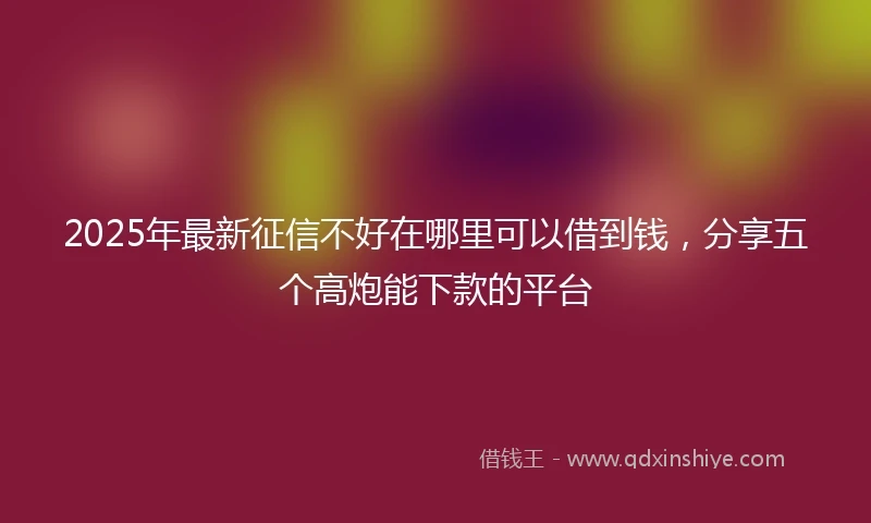 2025年最新征信不好在哪里可以借到钱，分享五个高炮能下款的平台