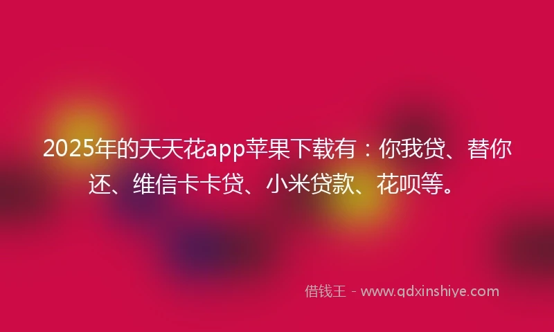 2025年的天天花app苹果下载有：你我贷、替你还、维信卡卡贷、小米贷款、花呗等。