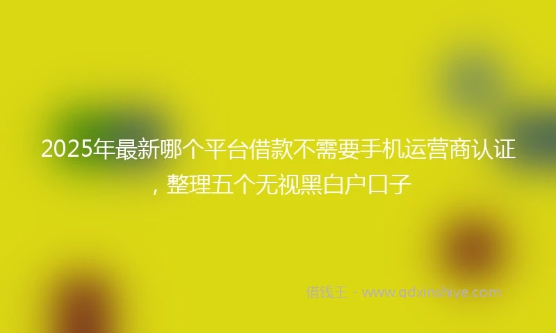 2025年最新哪个平台借款不需要手机运营商认证，整理五个无视黑白户口子