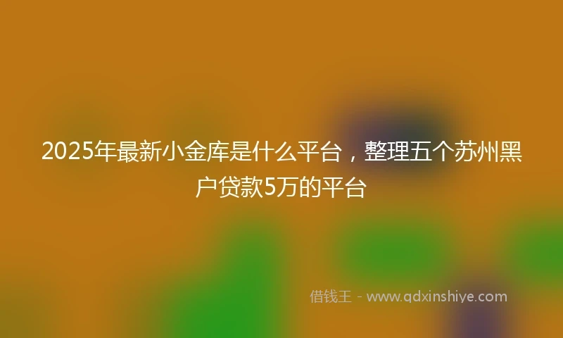 2025年最新小金库是什么平台，整理五个苏州黑户贷款5万的平台