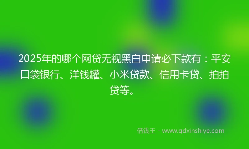2025年的哪个网贷无视黑白申请必下款有：平安口袋银行、洋钱罐、小米贷款、信用卡贷、拍拍贷等。