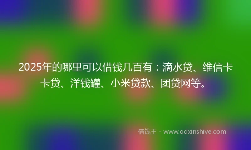 2025年的哪里可以借钱几百有：滴水贷、维信卡卡贷、洋钱罐、小米贷款、团贷网等。