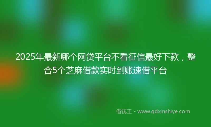 2025年最新哪个网贷平台不看征信最好下款，整合5个芝麻借款实时到账速借平台