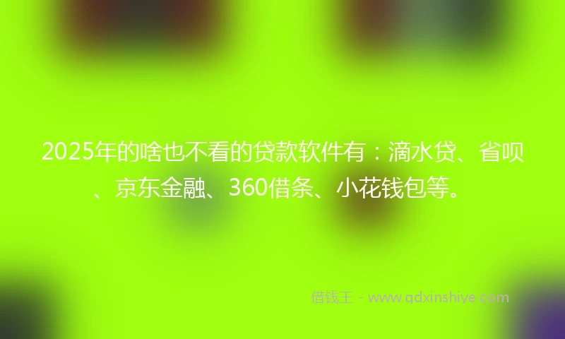 2025年的啥也不看的贷款软件有：滴水贷、省呗、京东金融、360借条、小花钱包等。