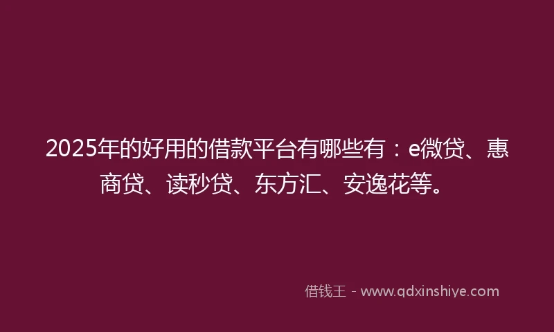 2025年的好用的借款平台有哪些有：e微贷、惠商贷、读秒贷、东方汇、安逸花等。