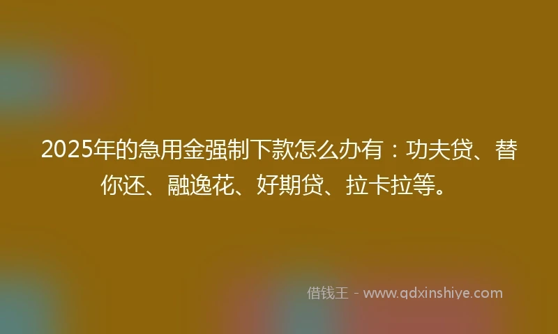 2025年的急用金强制下款怎么办有：功夫贷、替你还、融逸花、好期贷、拉卡拉等。