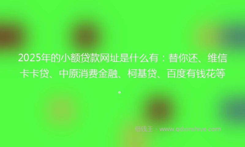2025年的小额贷款网址是什么有：替你还、维信卡卡贷、中原消费金融、柯基贷、百度有钱花等。