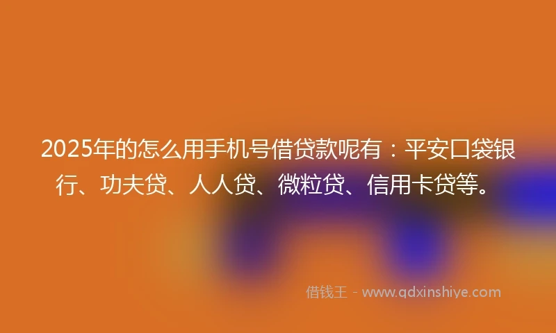 2025年的怎么用手机号借贷款呢有：平安口袋银行、功夫贷、人人贷、微粒贷、信用卡贷等。