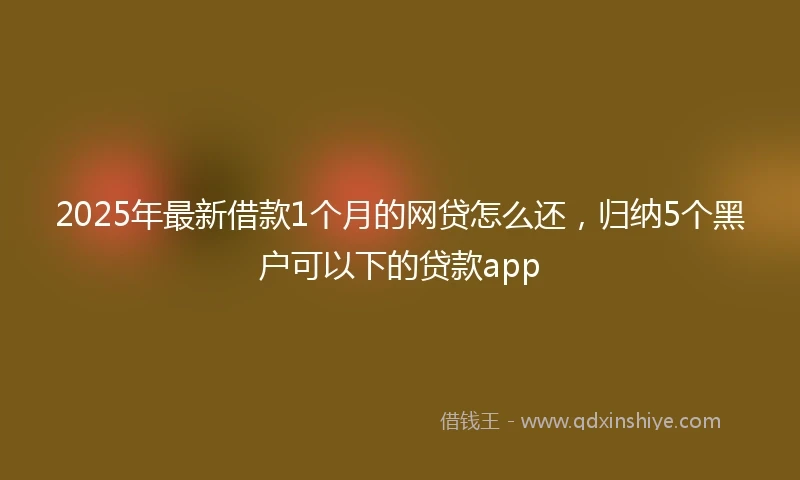 2025年最新借款1个月的网贷怎么还，归纳5个黑户可以下的贷款app