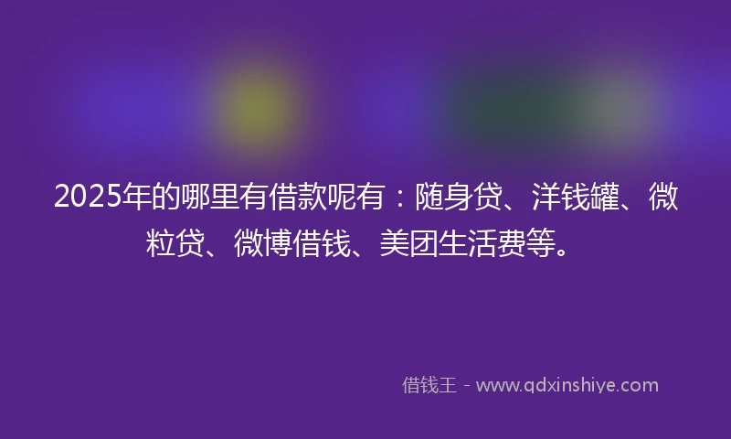 2025年的哪里有借款呢有：随身贷、洋钱罐、微粒贷、微博借钱、美团生活费等。