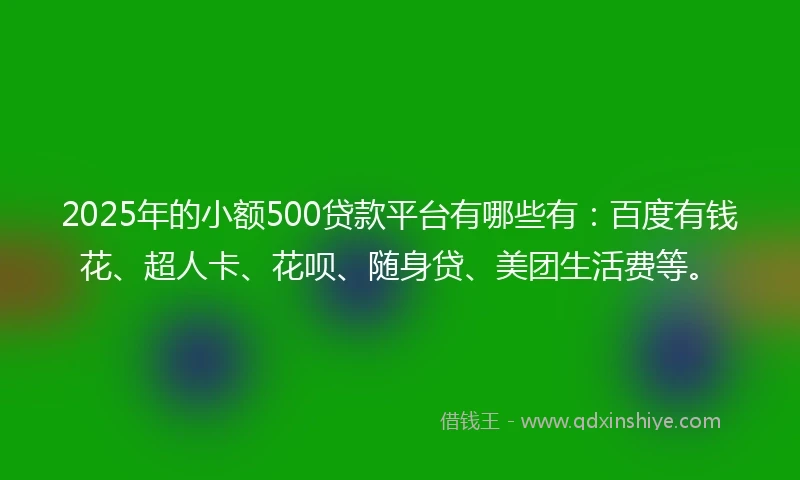 2025年的小额500贷款平台有哪些有：百度有钱花、超人卡、花呗、随身贷、美团生活费等。