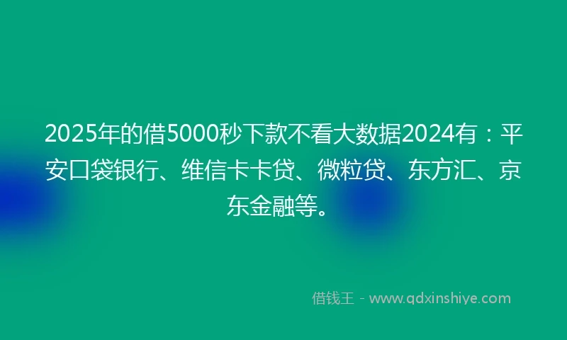 2025年的借5000秒下款不看大数据2024有：平安口袋银行、维信卡卡贷、微粒贷、东方汇、京东金融等。