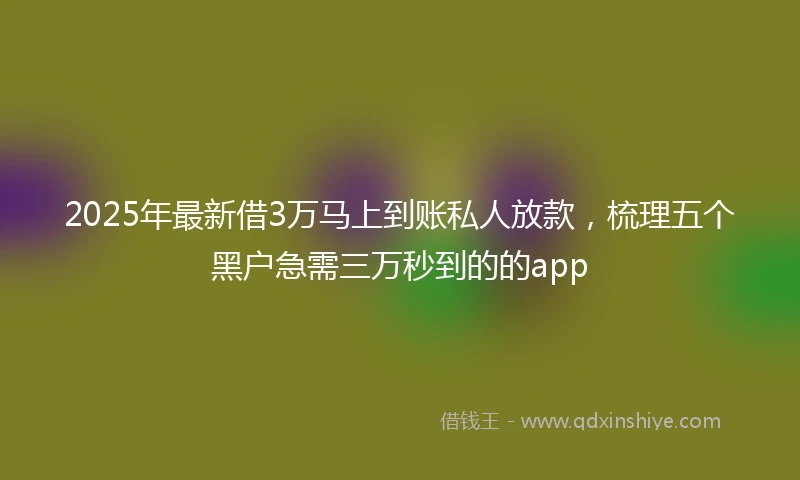 2025年最新借3万马上到账私人放款，梳理五个黑户急需三万秒到的的app