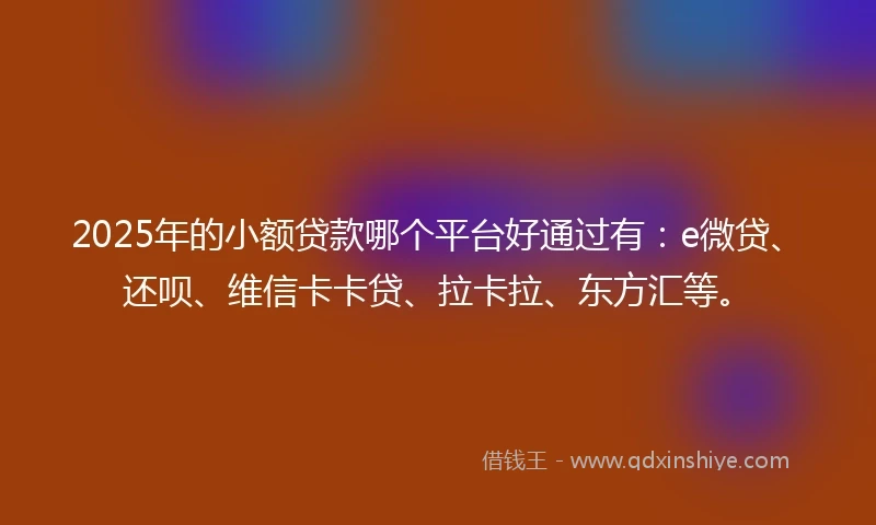 2025年的小额贷款哪个平台好通过有：e微贷、还呗、维信卡卡贷、拉卡拉、东方汇等。