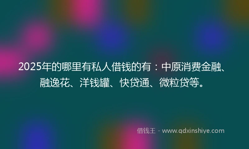 2025年的哪里有私人借钱的有：中原消费金融、融逸花、洋钱罐、快贷通、微粒贷等。