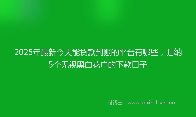 2025年最新今天能贷款到账的平台有哪些，归纳5个无视黑白花户的下款口子