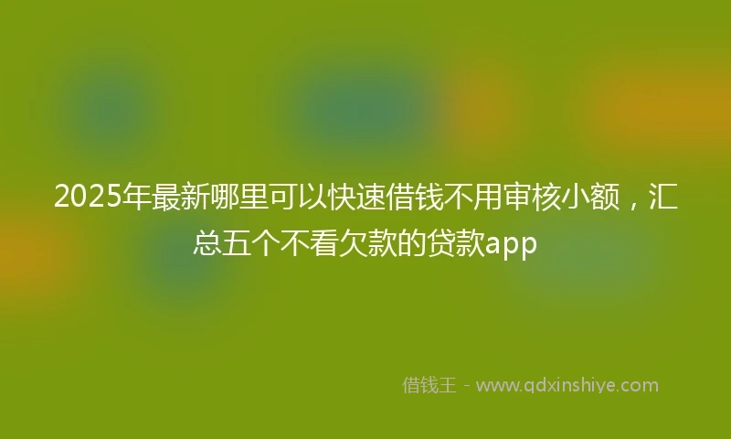2025年最新哪里可以快速借钱不用审核小额，汇总五个不看欠款的贷款app