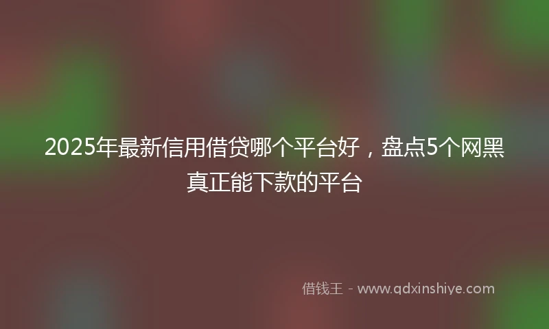 2025年最新信用借贷哪个平台好，盘点5个网黑真正能下款的平台