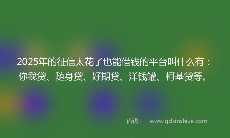 2025年的征信太花了也能借钱的平台叫什么有：你我贷、随身贷、好期贷、洋钱罐、柯基贷等。