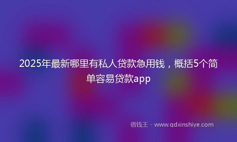 2025年最新哪里有私人贷款急用钱，概括5个简单容易贷款app