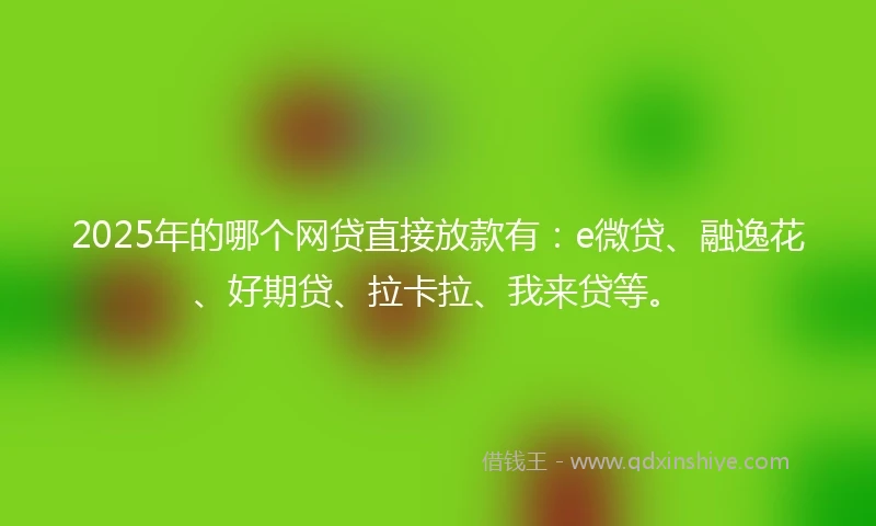 2025年的哪个网贷直接放款有：e微贷、融逸花、好期贷、拉卡拉、我来贷等。