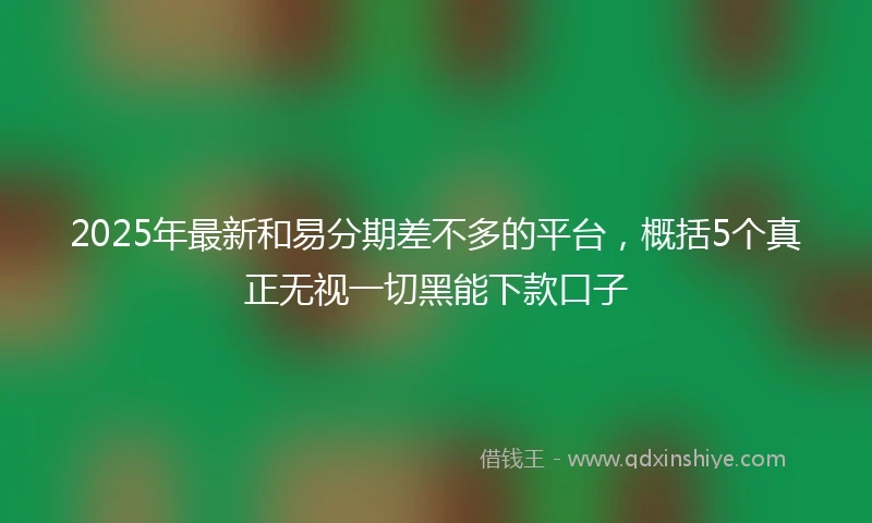 2025年最新和易分期差不多的平台，概括5个真正无视一切黑能下款口子