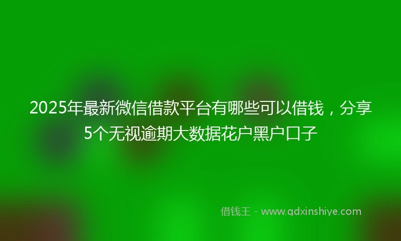 2025年最新微信借款平台有哪些可以借钱，分享5个无视逾期大数据花户黑户口子