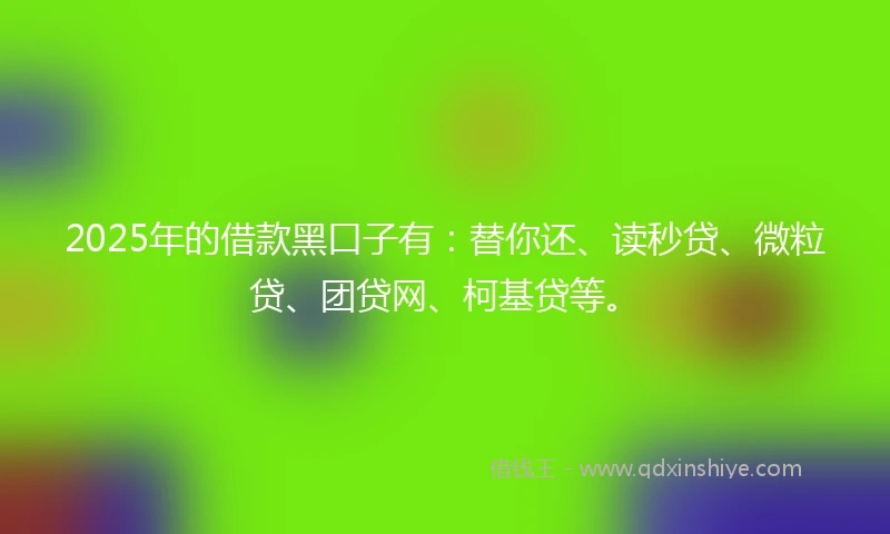 2025年的借款黑口子有：替你还、读秒贷、微粒贷、团贷网、柯基贷等。