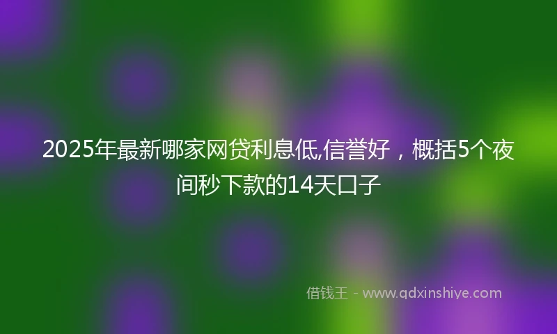 2025年最新哪家网贷利息低,信誉好，概括5个夜间秒下款的14天口子