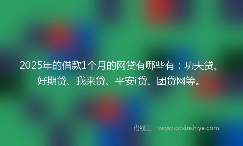 2025年的借款1个月的网贷有哪些有：功夫贷、好期贷、我来贷、平安i贷、团贷网等。