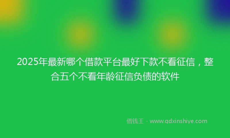 2025年最新哪个借款平台最好下款不看征信，整合五个不看年龄征信负债的软件