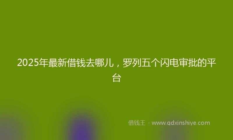 2025年最新借钱去哪儿，罗列五个闪电审批的平台